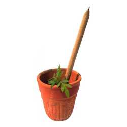 Paper Seed Pen