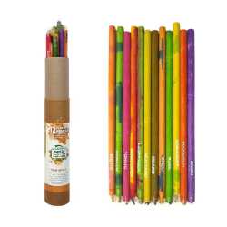 Plantable Pencil Box ( 12pc )
