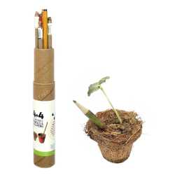 Combo Set ( 4 Seed Pencil + 4 Paper Seed Pen )