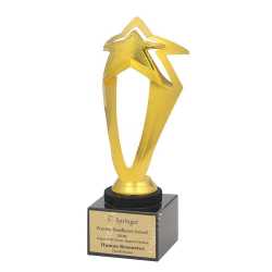 Wooden Metal Trophy 20
