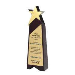 Wooden Metal Trophy 23