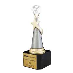 Wooden Metal Trophy 25