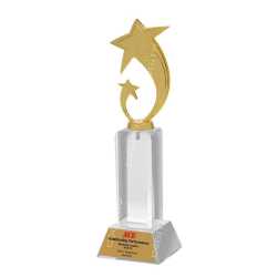 Wooden Metal Trophy 28