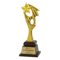 Wooden Metal Trophy 29