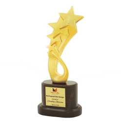 Wooden Metal Trophy 31