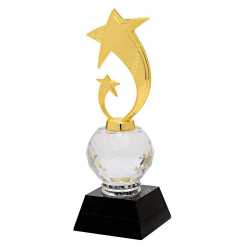 Wooden Metal Trophy 33
