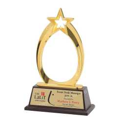 Wooden Metal Trophy 34