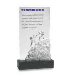 Motivational Trophy 16