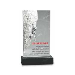 Motivational Trophy 17