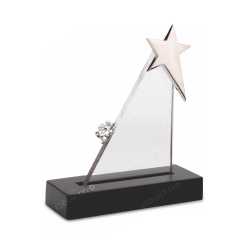 Motivational Trophy 24